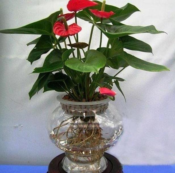 这三种药建议收藏,这3种药不能随便用