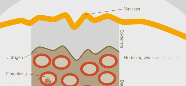 很多人夸赵丽颖,赵丽颖都被谁夸过
