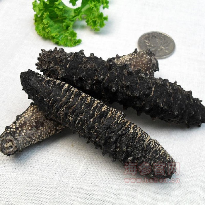 山东海参和辽宁海参有什么区别,加拿大海参和俄罗斯海参哪个好