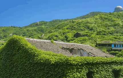 枸杞岛的真实生活,中国枸杞岛攻略