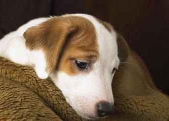 期货情绪周期入场点,情绪的第三维度和梦想的第四维度