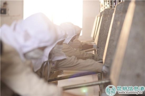 茶号排行榜龙润茶,龙润茶哪几款值得收藏