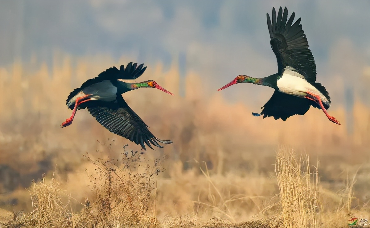 鄱湖之滨鱼米之乡,江西鄱阳湖