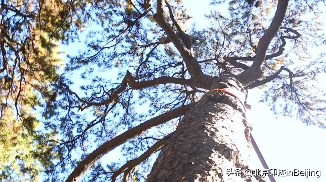 香山静宜园图片大全,香山静宜园二十八景