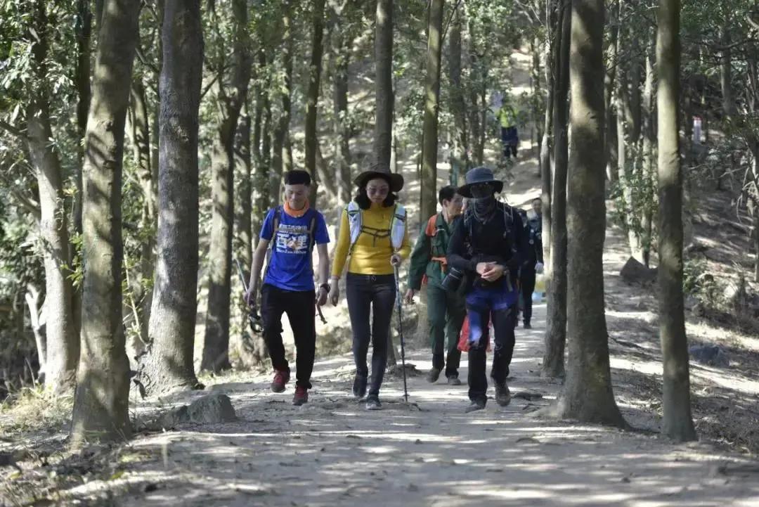 深圳原始登山道视频,深圳首个手工木栈道