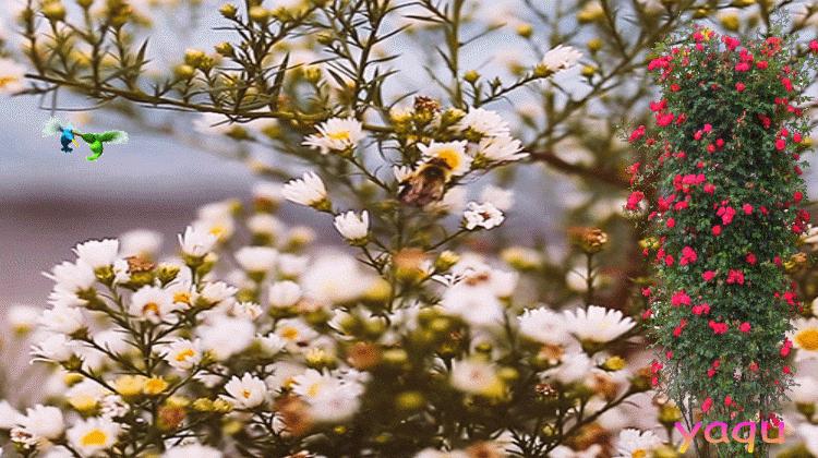 书画交易“道古”/周帆子