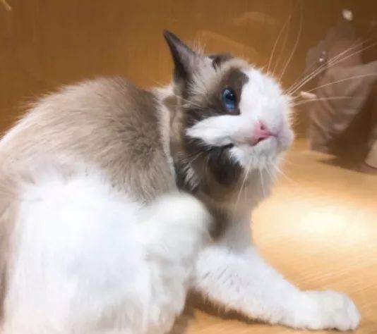 南京值得去生活吗,在南京生活15年的感受