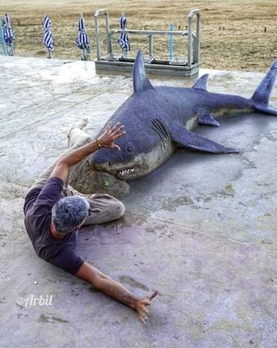老外沙雕动物视频,外国人沙雕模仿动物