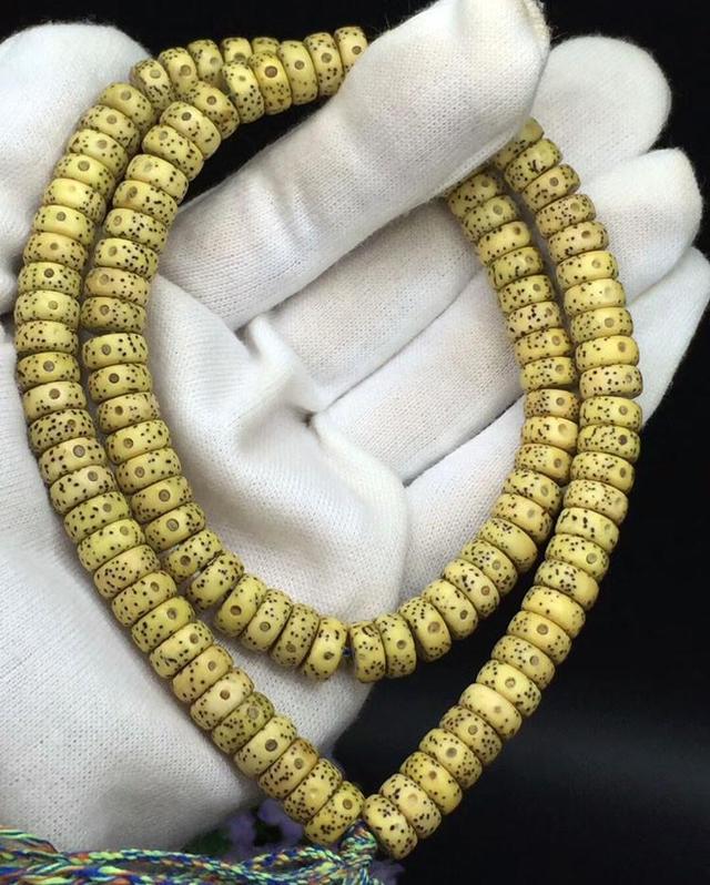 星月菩提最极品后期的品相,星月菩提的终极珠型