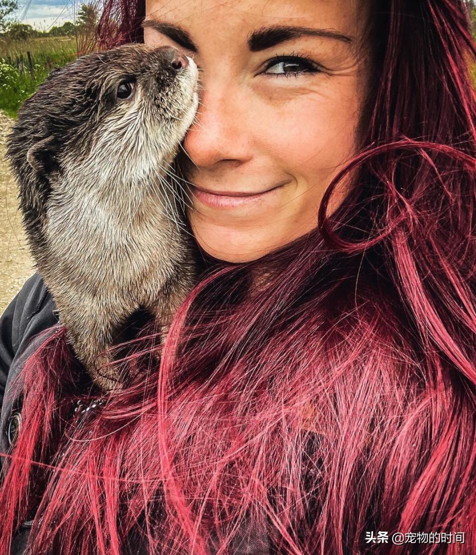 水獭宠物容易养吗视频,水獭宝宝可以当宠物吗