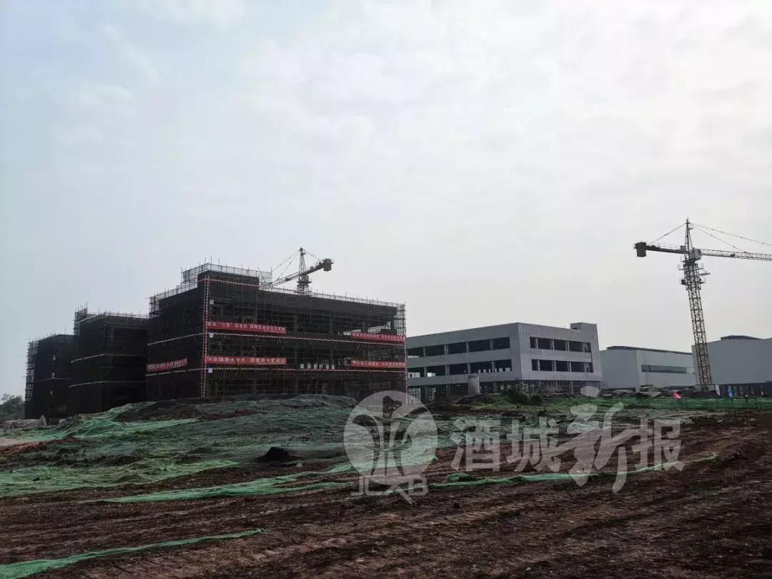 泸州95个重大项目开工,泸州集中开工66个项目