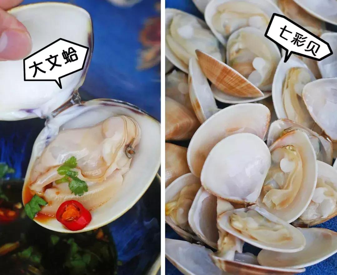 厦门90海里蒸汽海鲜自助,厦门岛内蒸汽海鲜自助