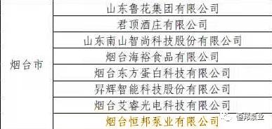 烟台恒邦泵业有限公司,烟台恒邦泵业有限公司在哪