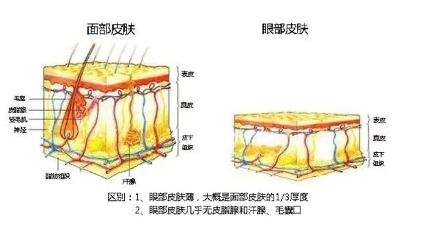去细纹的电动眼霜,能熨平皱纹的眼霜