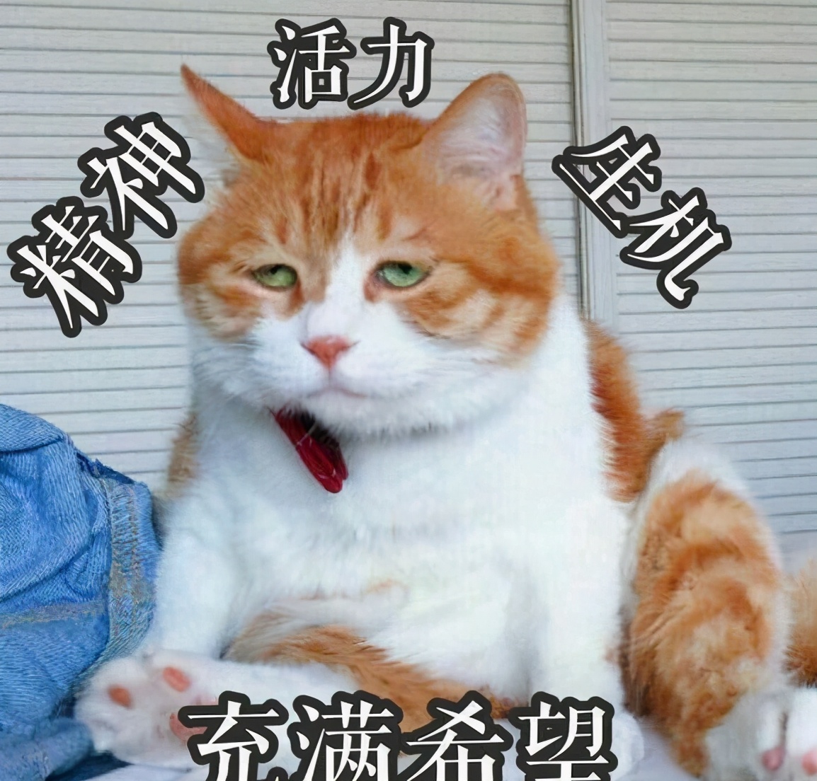 上班第一天满血复活,上班满血复活