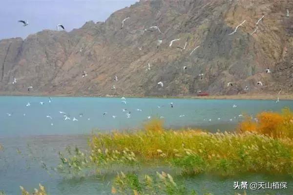 新疆的南疆图木舒克属于阿克苏吗,新疆图木舒克城市风景