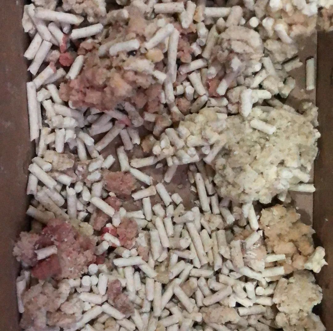 小佩饮水机3代漏电吗,小佩宠物饮水机真的有用吗