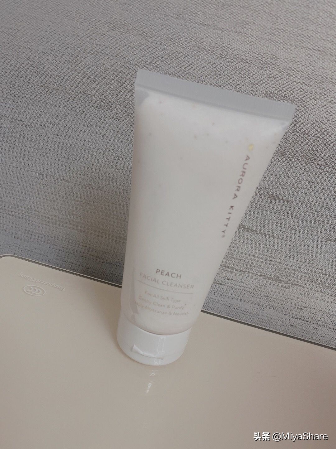 李斯丹妮当团宠,乘风破浪之旅团宠李斯丹妮