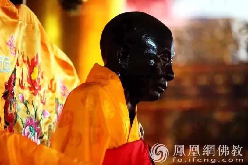 人造舍利子和高僧舍利有何区别,猞猁为什么会生小猞猁