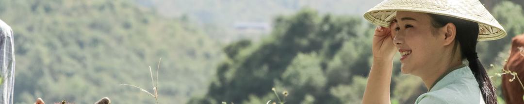 youtube中国前100城市,youtube排名有什么用