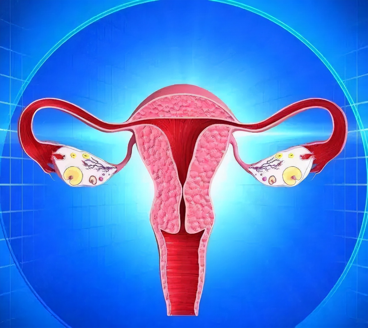 来例假忽然间涌出血块,女人来例假为什么有血块