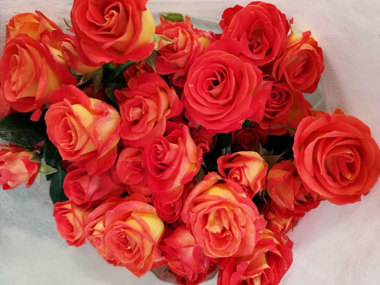 铁道兵战友网络辞旧迎新表彰联欢晚会