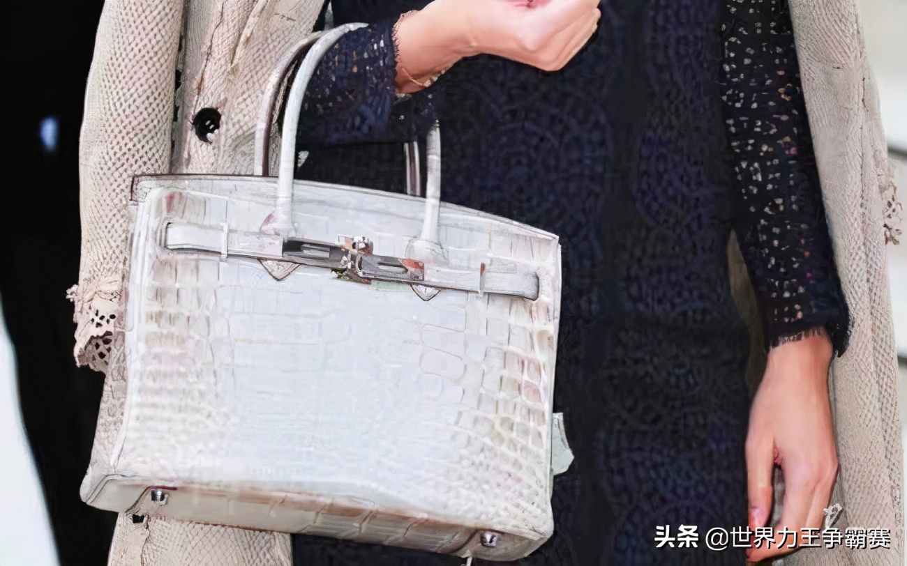 沙特公主丢爱马仕包被气到住院,沙特公主爱马仕事件