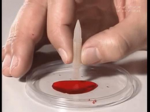 百乐capless钢笔获奖,百乐钢笔74和742的区别