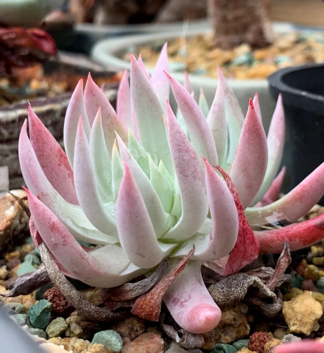 禁足的日子收获颇多,禁足