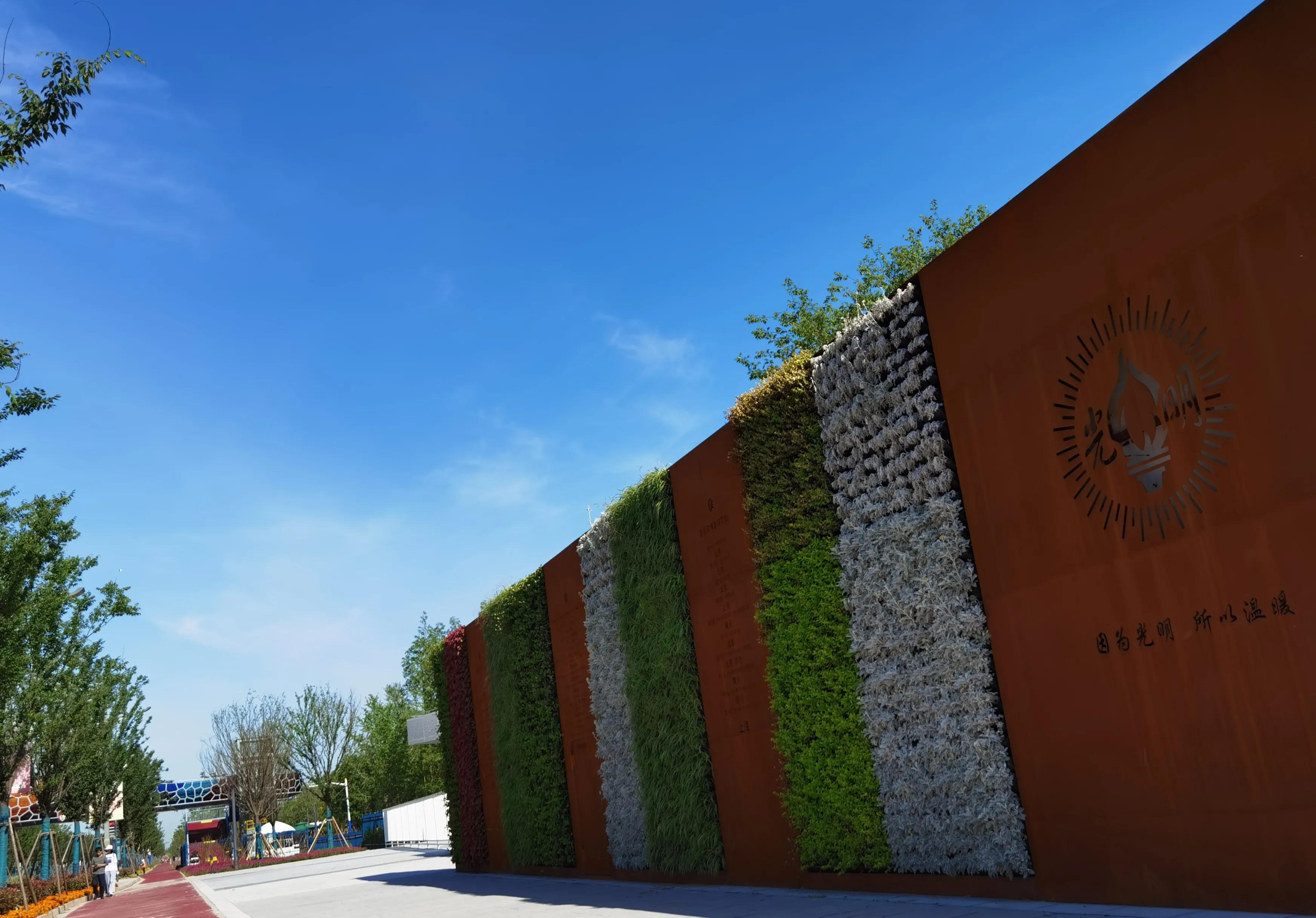 关于崇明花博会,崇明花博会全程花景