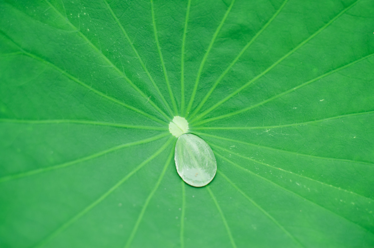 冥想的含义和意义究竟是什么？