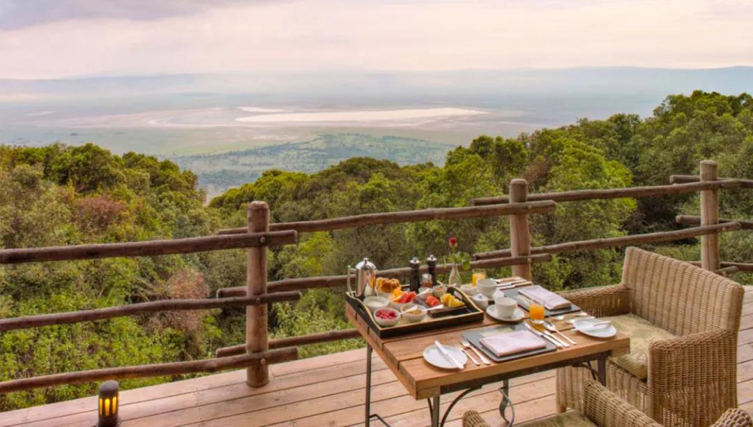 世间稀有的白色长颈鹿母子，在非洲被残忍猎杀，发现时只剩骨骼