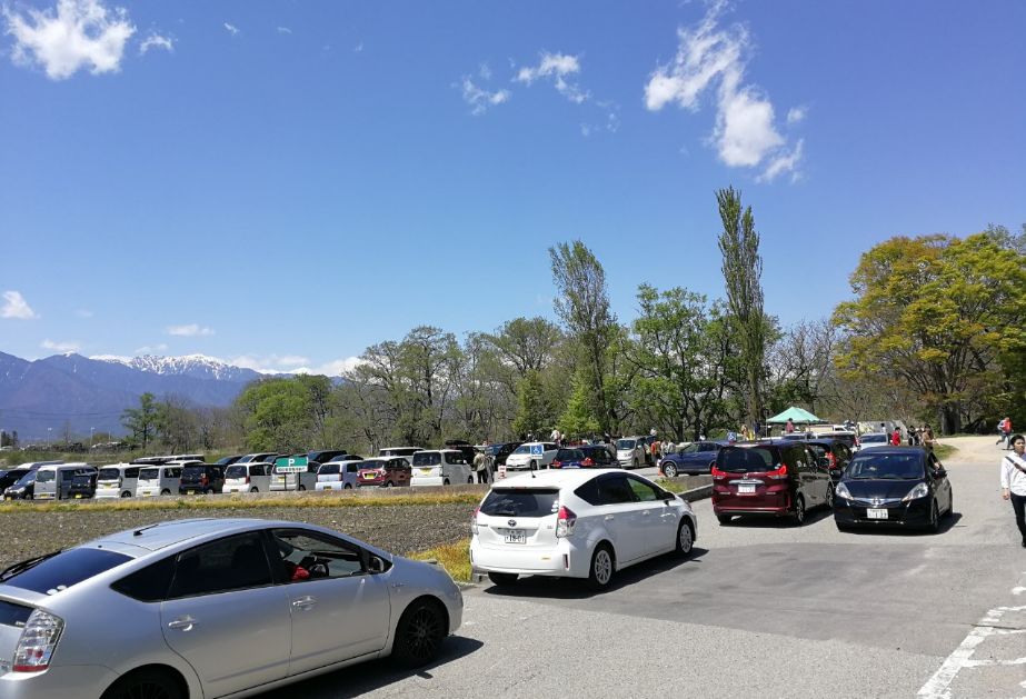 一周狼狈吃了两根山葵的人，终于去了安昙野大王山葵农场