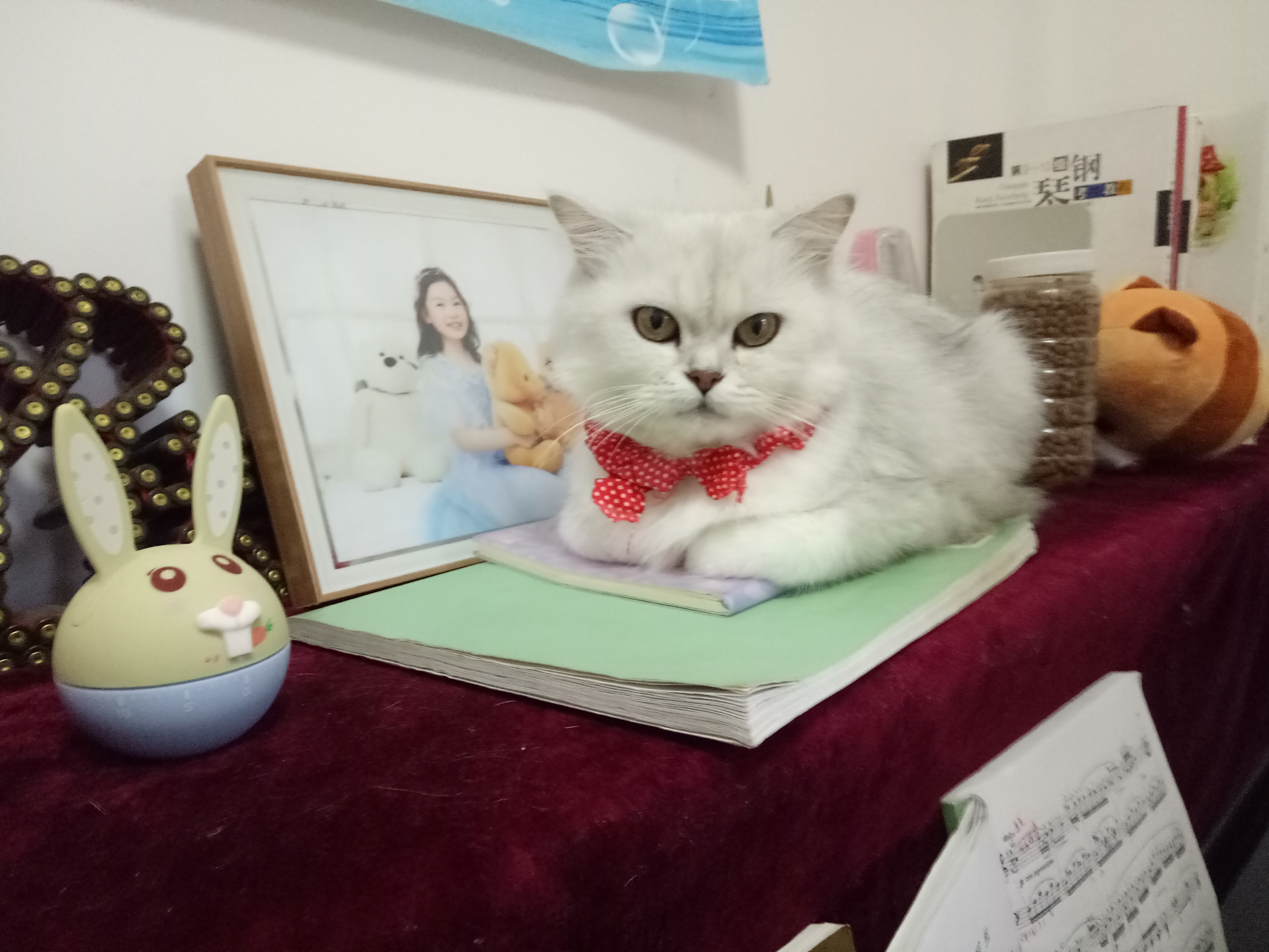 绗ㄧ鐚効绔ュ脊閽㈢惔瑙嗛,绗ㄧ鐚脊閽㈢惔瑙嗛