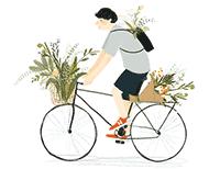 小城故事陇川,康县小城故事