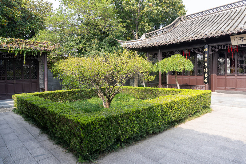 乘着高铁去踏青赏景,乘着高铁游扬州高邮北