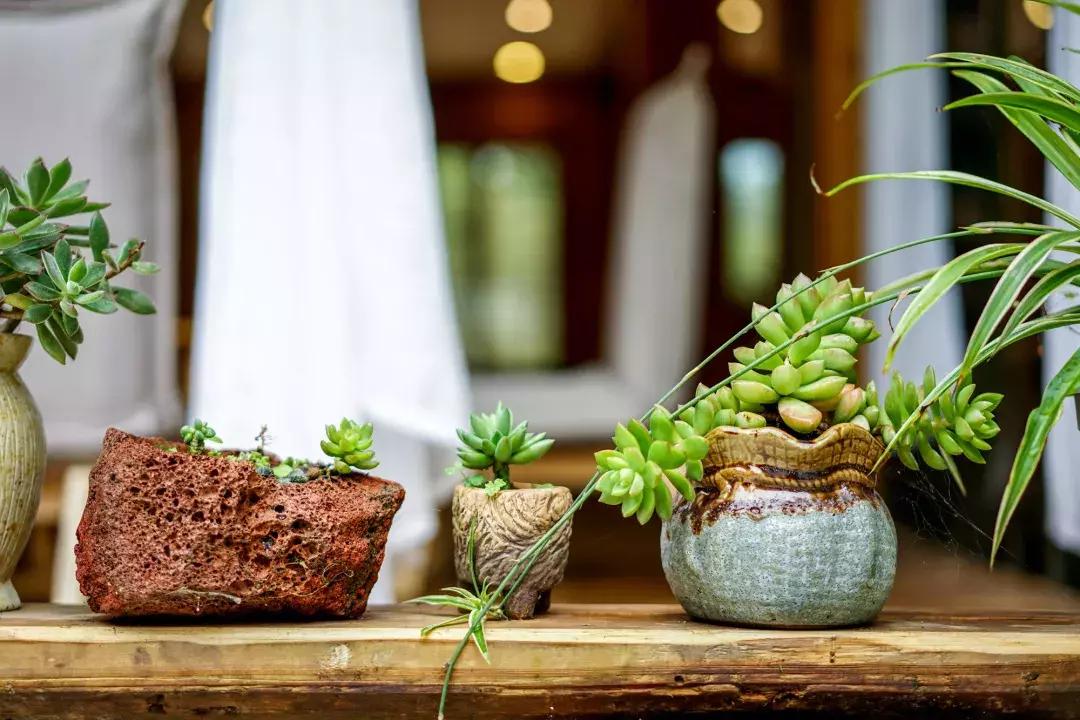 青城后山避暑农家乐,青城后山幽然居民宿