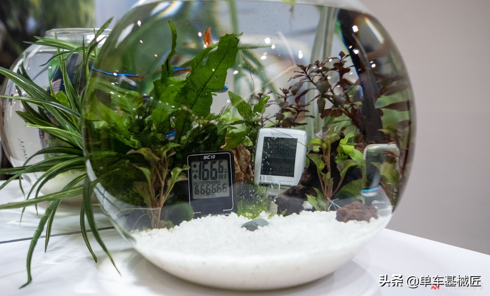 2019台北自行车展视频,2014台湾自行车展