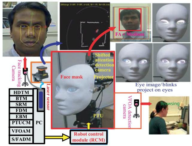 注意力测试数据分析,注意力测试数据