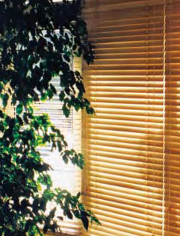 国外进口木材有哪些,进口木材种类名称大全图片及价格