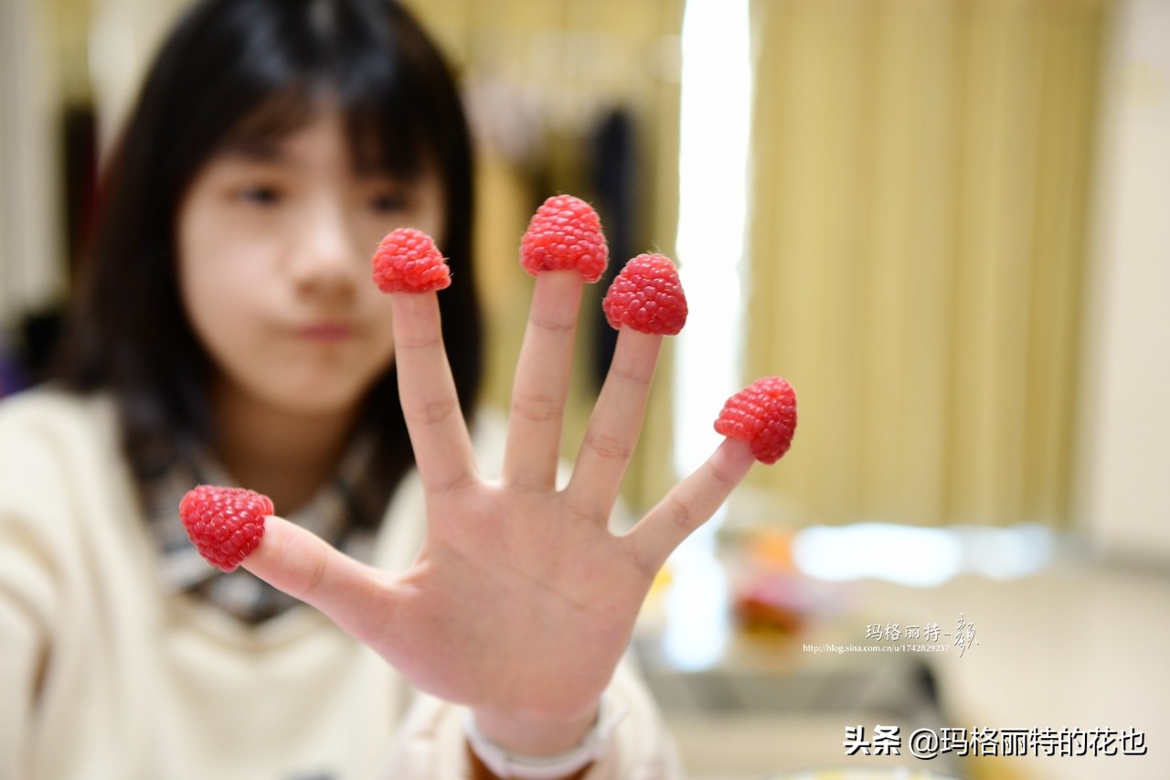 树莓在庭院怎么种植,树莓可在院子里种吗