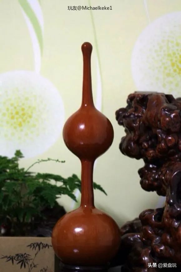 一把葫芦卖到上千上万，连种子都“千金难求”