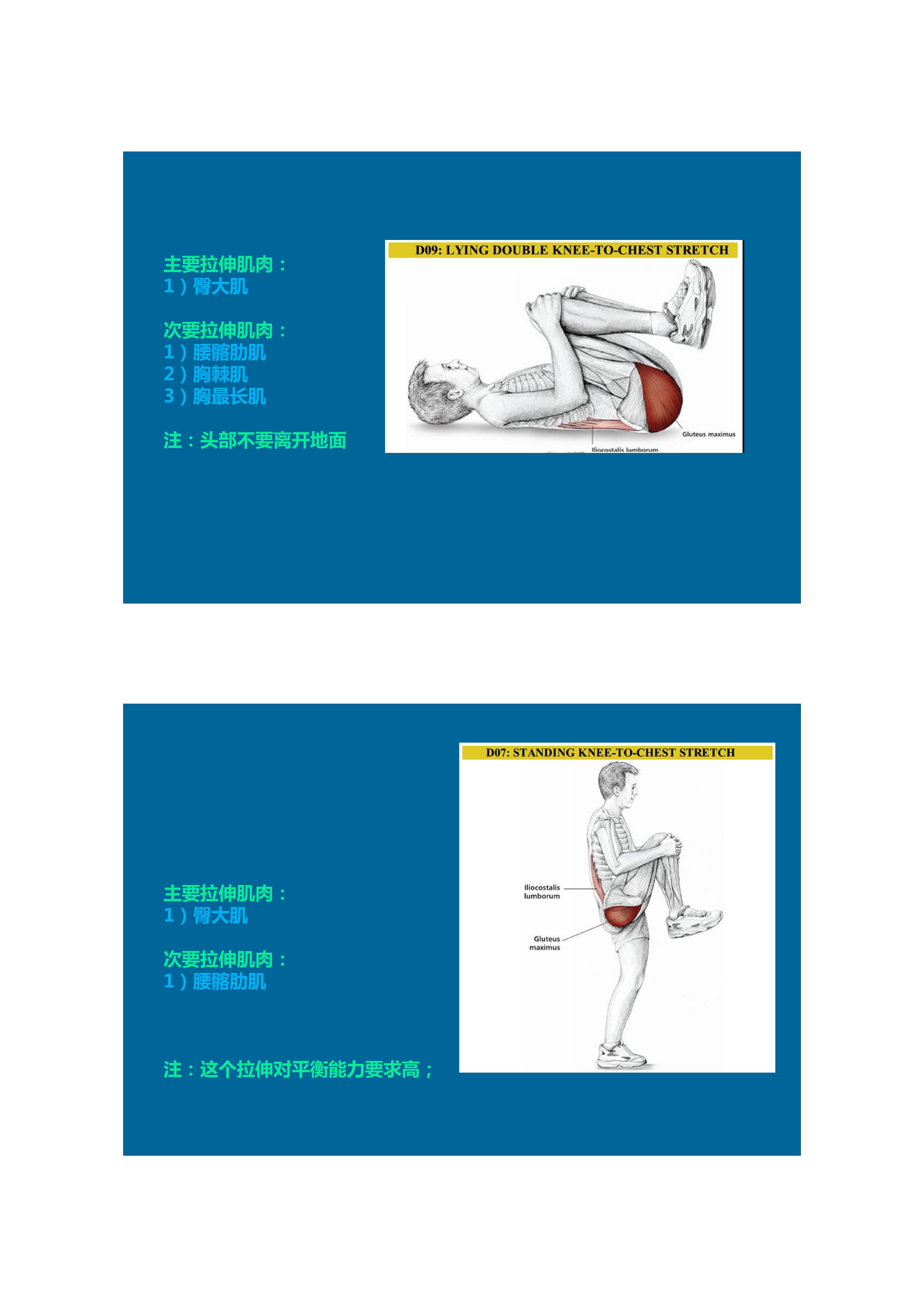 1分钟拉伸动作视频,拉伸腿部技巧