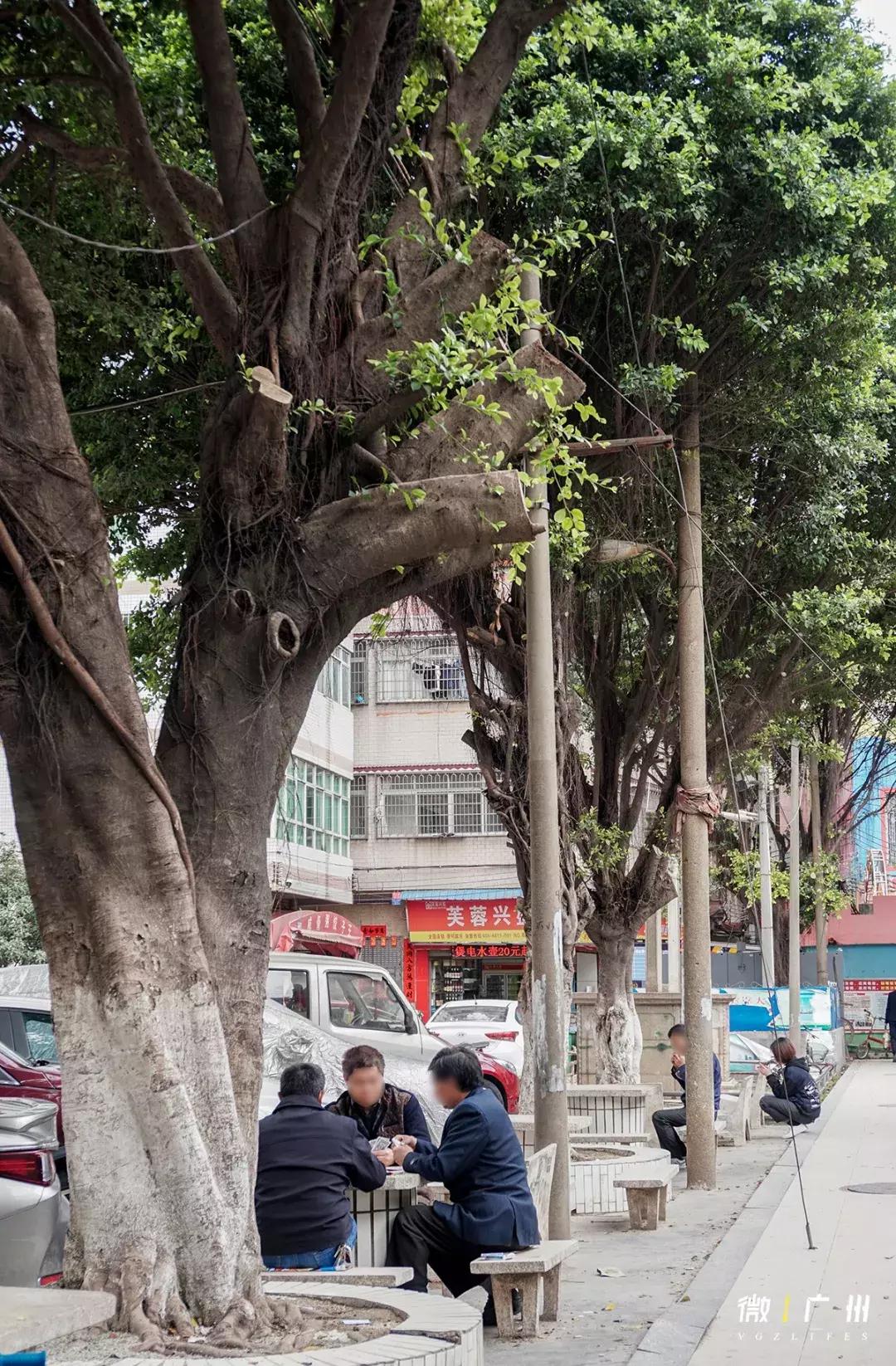 嘉禾望岗有便宜的房子租吗,嘉禾望岗租房可以吗