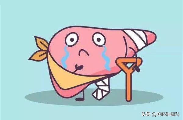 公认最好的护肝药,提高免疫力护肝抗癌的中草药