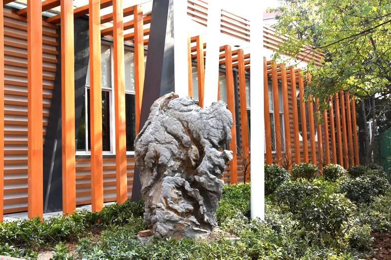 最美的风景美丽的校园,最美的风景就是校园