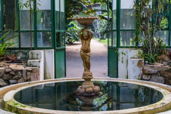 再次拥抱巴西，千万种风情想与你诉说,上）