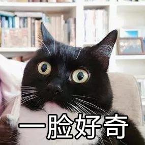 深圳机场可自助寄快递，全程仅需1分钟！