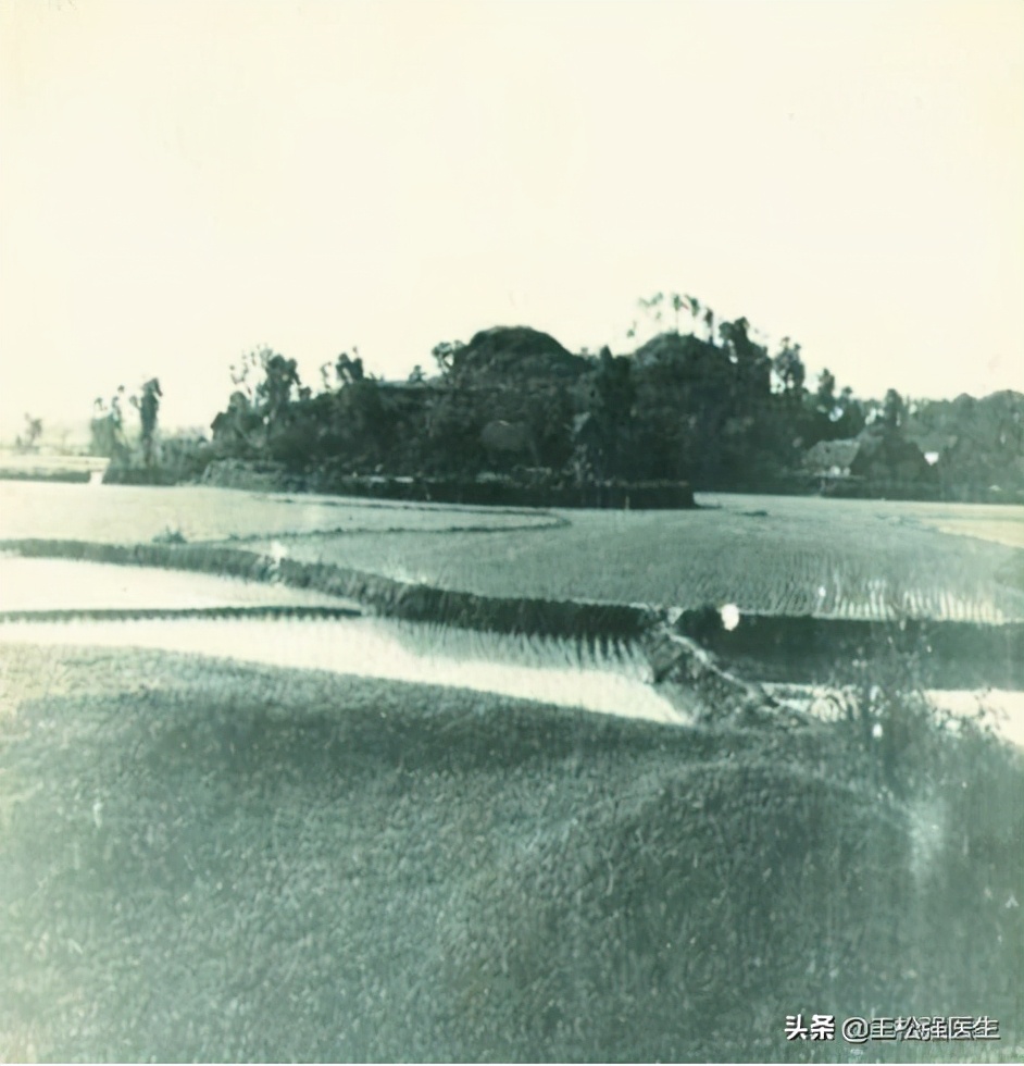 中医推拿手法入门基础知识,学中医推拿的基础知识