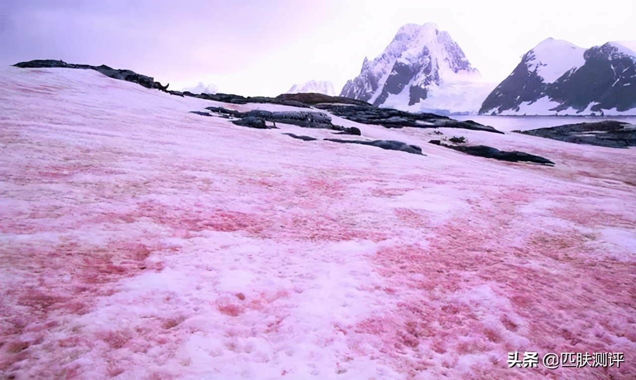 galenic法国科兰黎抗氧1号vc精华,galenic是法国的什么牌子